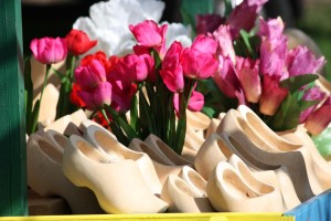 Wooden Shoes and Tulips by Sarah Franzen