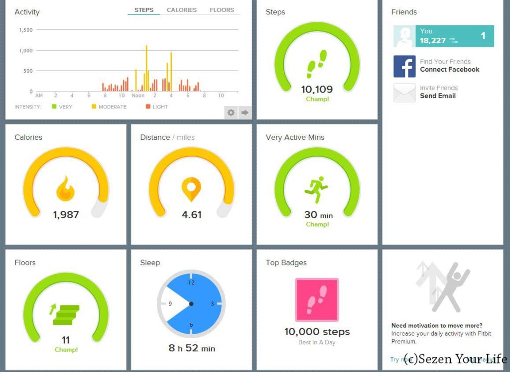 Fitbit Force Computer Dashboard