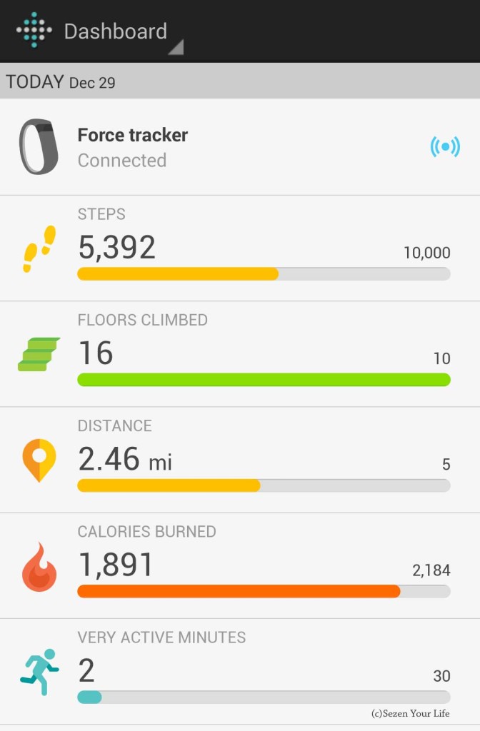 Fitbit Force App Home Screen