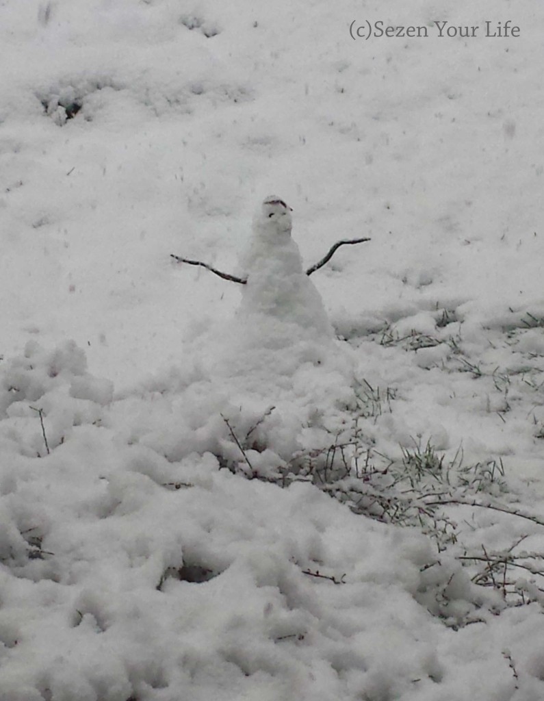 first snowman