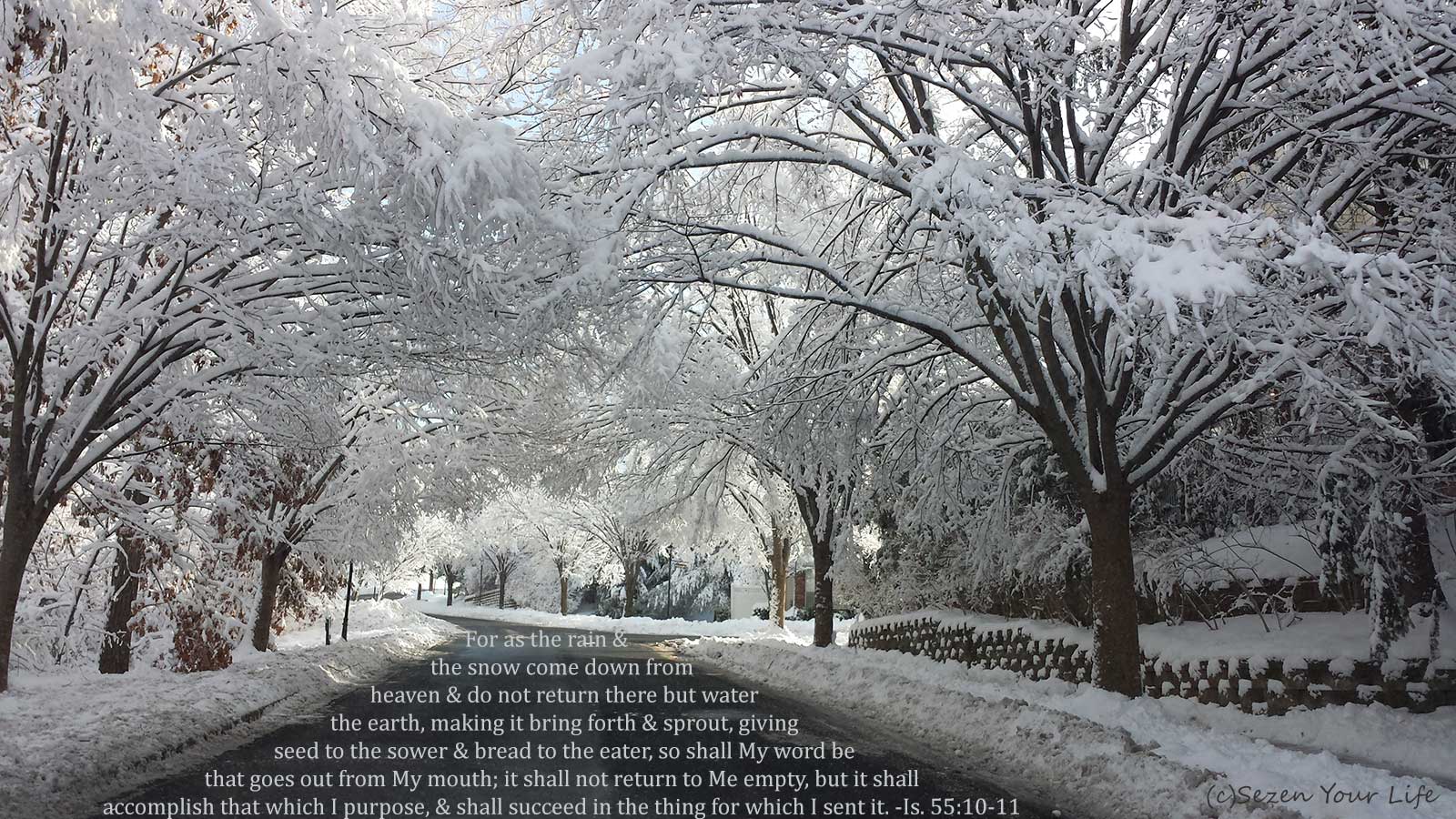 Winter Isa. 55:10-11 by Sarah Franzen