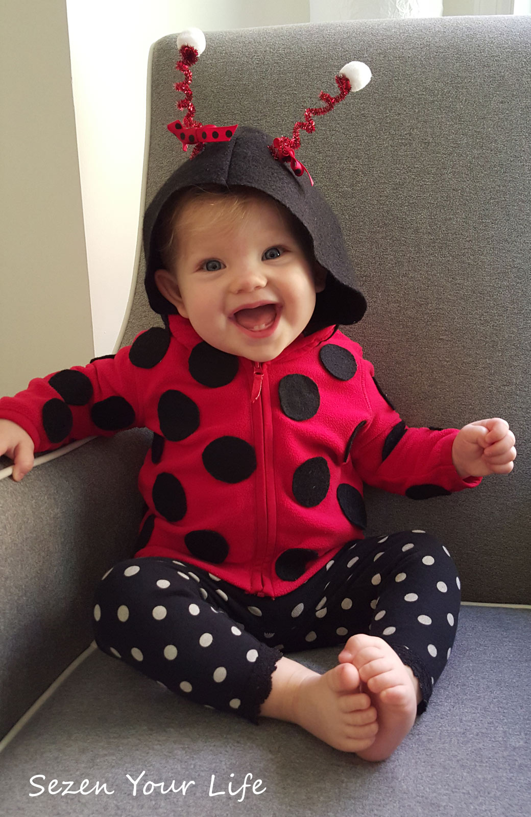 Lil Ladybug Costume for Infant's
