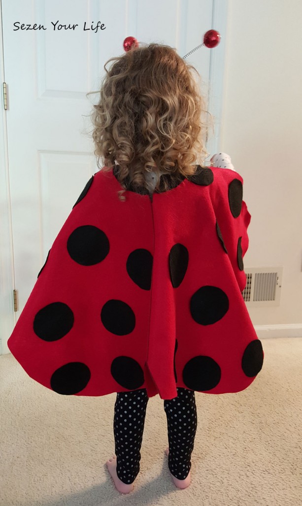 L-Ladybug