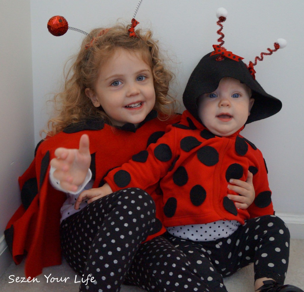 Lovely Little Ladybug Costumes